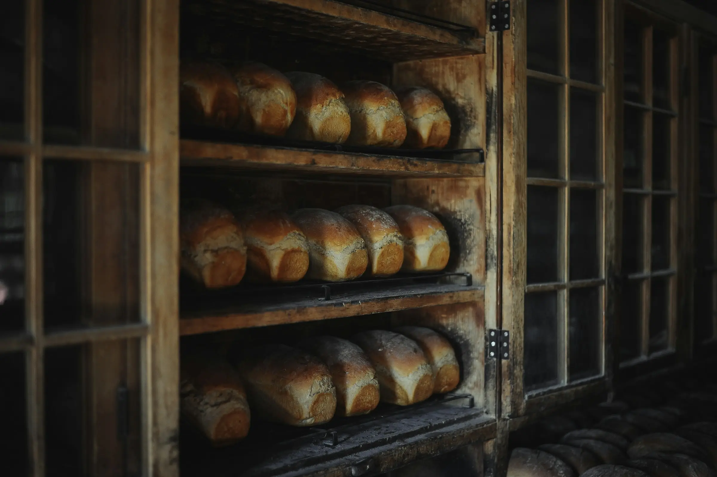 Frisch gebackene Brotlaibe in einem alten hölzernen Backstubenregal